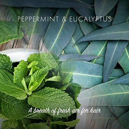 Prijateljska prirodna prirodna paprika i eukaliptusni regenerator Bar 3.17 oz