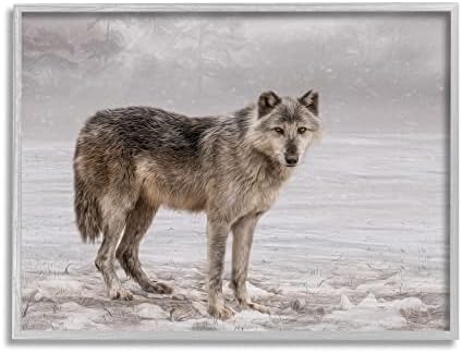 Stupell Industries Lone Coyote Wolf Snowy Field Pejzažni zamršeni detalji Uokvirena zidna umjetnost, Dizajn Kelley Parker