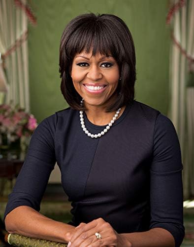 Službeni portret prve dame Michelle Obama fotografija-historijsko umjetničko djelo iz 2013. godine- - Polusjaj