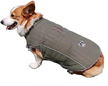 Odjeća za kućne ljubimce za male pse Djevojke haljina reflektirajući vjetroottni kaput zimski topli pas za male srednje i velike pse