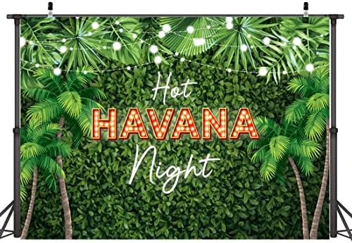 Lofaris Havana noći pozadina za Baby Shower rođendan ljeto Palma ostavlja zelena trava zid fotografija pozadina Party Dekoracije zalihe