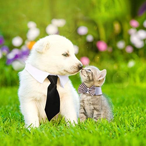 6 komada podesiva kravata kućnog ljubimca PLAIC Crni crveni kućni ljubimac Formalni tuxedo kostim kraljevskih ovratnika malim psima