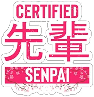 Hlaže sa šaljivim certificiranim senfai japanskim mentorskim instruktorom Senpai Japan Manga Mentorstvo 2 × 2 / transparentno