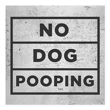 CGsignLab | Nema pasa Pooping -Basic siva čist prozor Cling | 24 x24