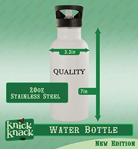 Knick Klack Pokloni desmonstribilnost - 20oz boca vode od nehrđajućeg čelika, srebrna